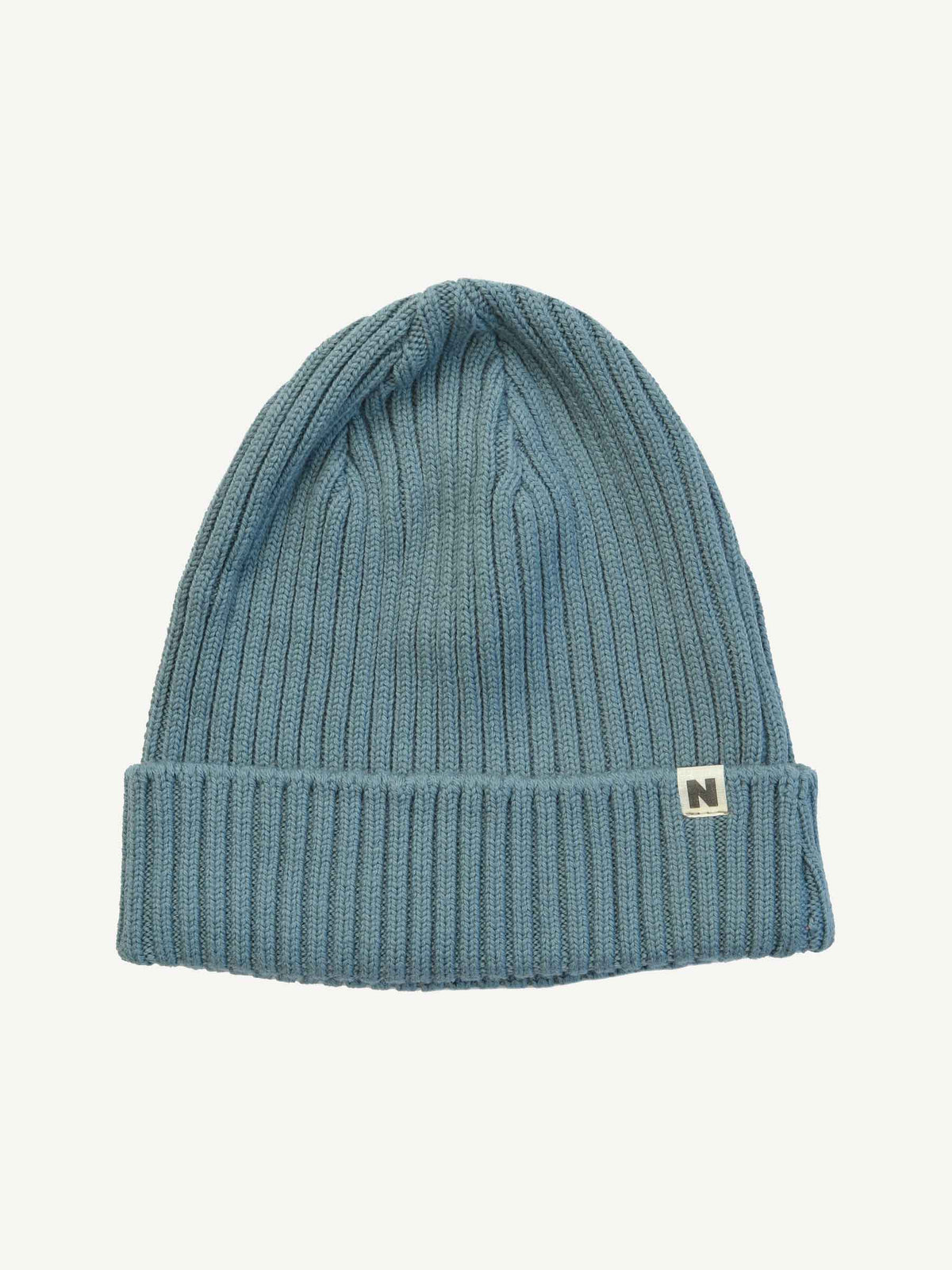 Adult's Dory Beanie Lake