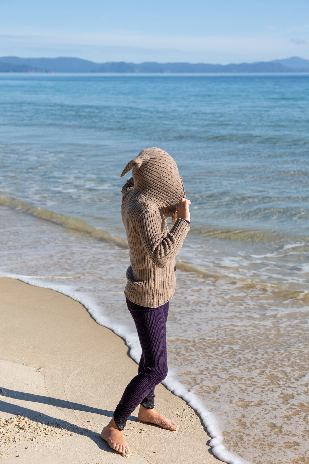 Hooded Jacket Brownish
