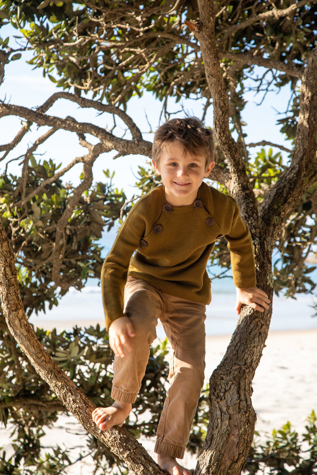 Augustin Sweater Kelp