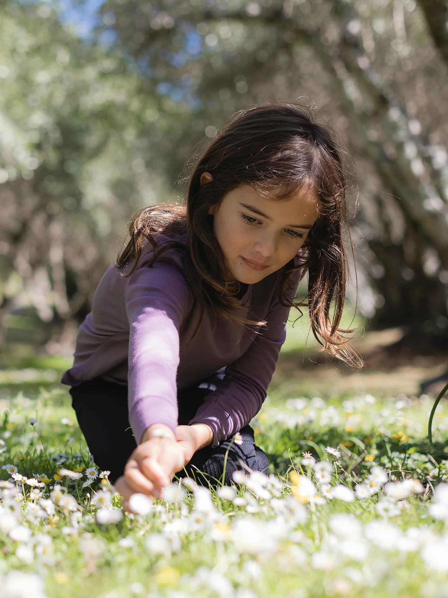 Child Tihoi Merino Crew Plum